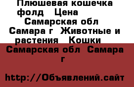 Плюшевая кошечка фолд › Цена ­ 3 000 - Самарская обл., Самара г. Животные и растения » Кошки   . Самарская обл.,Самара г.